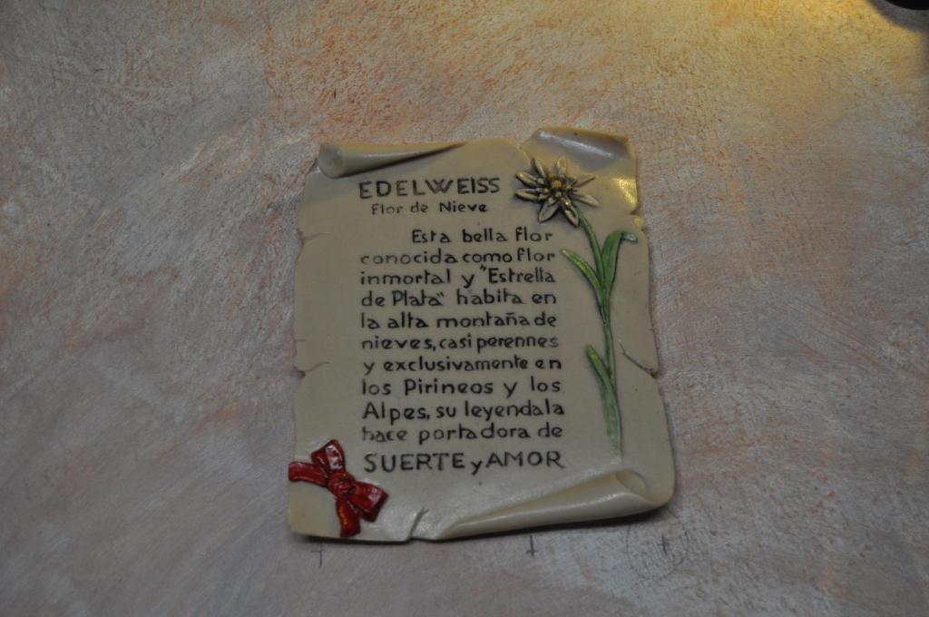 Hotel Flor De Neu El Pont de Suert Εξωτερικό φωτογραφία
